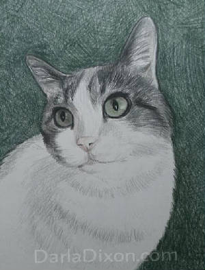 colored pencil drawing of cat from photo