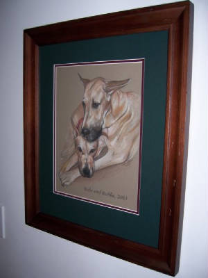 Great Danes Colored Pencil Portraits framed