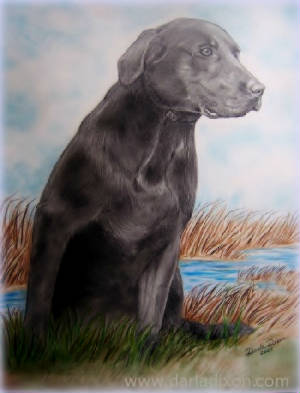 Hunting Dog in Outdoor Scene Artwork Drawing