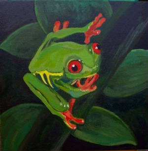 Red eyed tree frog painting